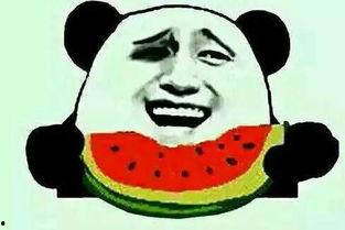 大学女孩宿舍吃瓜,揭秘大学女孩们的欢乐食光