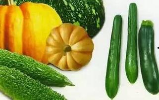 吃瓜珍妮,揭秘娱乐圈背后的那些事儿