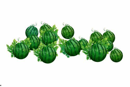 阿思远吃瓜,揭秘娱乐圈幕后故事