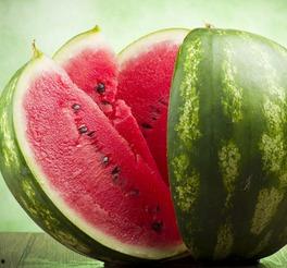 吃瓜群适合的头像,趣味横生的头像集锦