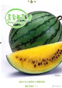 开郎怪吃瓜,揭秘娱乐圈的幕后故事