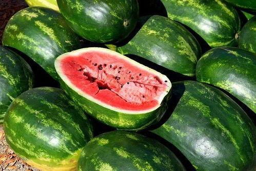 2021吃瓜视频合集,盘点年度热门视频合集